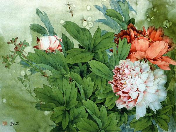 colorful-luoyang-peonies_size_600x450